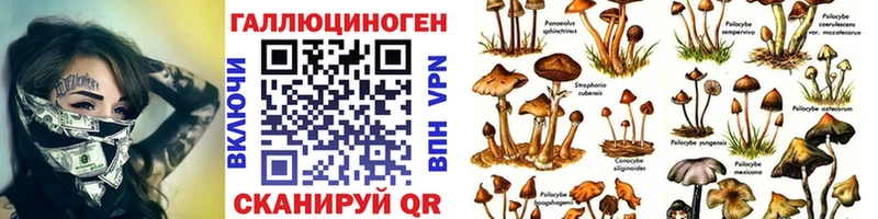 цена наркотик  Кедровый  сайты даркнета состав  Галлюциногенные грибы мухоморы 
